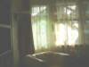 Photo Number 5